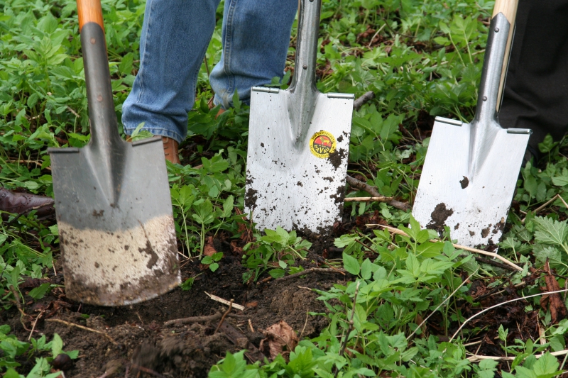 pepiniere-LA CELLE-min_work-lawn-flower-tool-green-backyard-1103633-pxhere.com